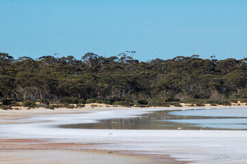 Outback along Coolgardie-Esperance Highway in Western Australia