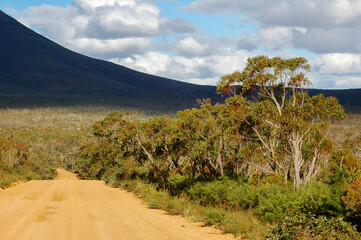Landscape along South Coast Highway in Western Australia