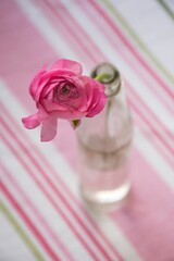 Pink flower in a clear vase featured atop a striped tablecloth.