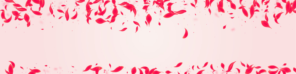 Red Lotus Vector Pink Panoramic Background.