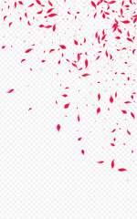 Red Blossom Vector Transparent Background. Fly