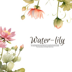 Watercolor lily isolated on white background, vector illustration. Oriental floral cards with pink lotus flowers for invitation
