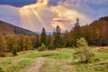 Serene Mountain Road Amidst Autumn Forest