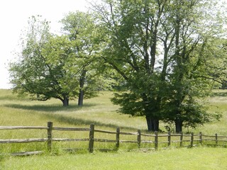 Serene rural scene of trees, grassy fields, and a wooden split rail fence in Missouri.