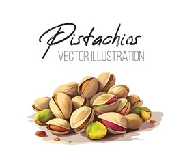 Vector product walnut pistachio. Pistachio nuts in the shell and with leaves. Illustration of food pistachio in watercolor style.