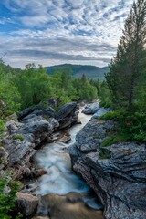 Naklejka na ściany i meble Long exposure of a picturesque stream flowing over rocks through a dense forest in Norway