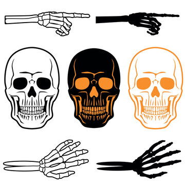 Halloween decorations vector skulls and hand bones