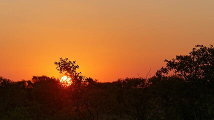 Idyllic scene of Hwange National Park, Zimbabwe, at sunset