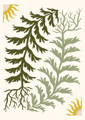 Poster wall art print clipart swatch decor painted floral wildflowers and leaves bouquet isolated child nursery decor school nature
Kid birthday flowers floral - forest animals woodland