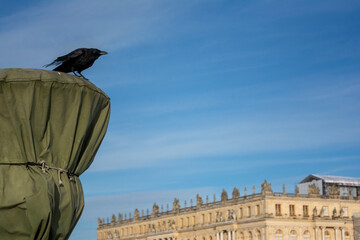 Crow Sitting on a Wrapped Urn at Versailles Chateau