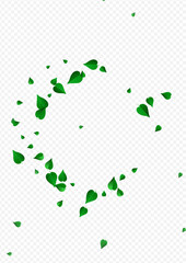 Olive Greens Forest Vector Transparent Background