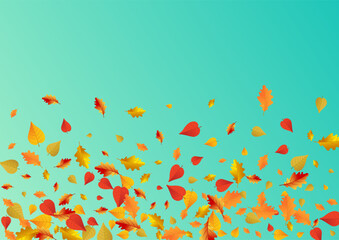 Autumnal Floral Vector Blue Background.