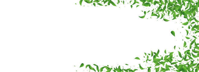 Green Foliage Falling Vector Panoramic White