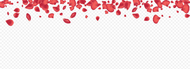 Red Lotus Blur Vector Panoramic Transparent