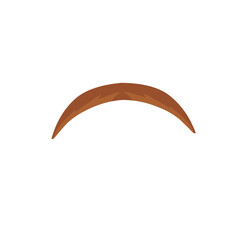 Traditional wooden boomerang