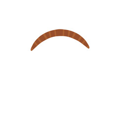 Traditional wooden boomerang