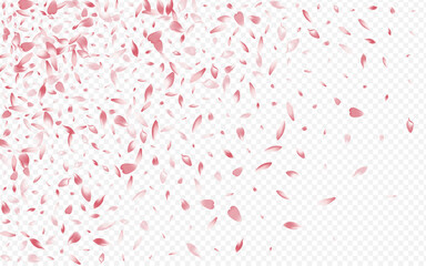 Red Rosa Vector Transparent Background. Apple