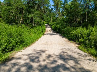 Scenic view of a pathway in a green park on a sunny day