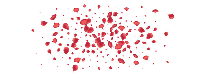 Pink Flower Falling Vector Panoramic White
