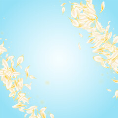 Yellow Rose Falling Vector Blue Background. Beige