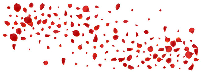 Obraz premium Delicate Lotus Flying Vector Panoramic White