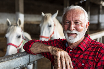 Farmer standing in front of horses on farm