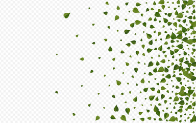 Green Greens Blur Vector Transparent Background