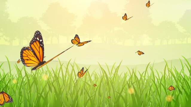 Flying Butterfly Animation For Powerpoint