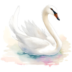 Swan in cartoon style. Cute Little Cartoon Swan isolated on white background. Watercolor drawing, hand-drawn Swan in watercolor. For children's books, for cards, Children's illustration