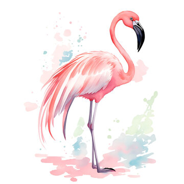 Flamingo in cartoon style. Cute Little Cartoon Flamingo isolated on white background. Watercolor drawing, hand-drawn Flamingo in watercolor. For children's books, for cards, Children's illustration © chanjaok1