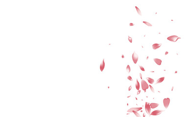 Purple Apple Petal Vector White Background. White