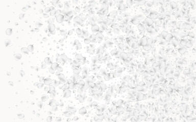 Gray Blossom Vector Light Background. Snowy Japan