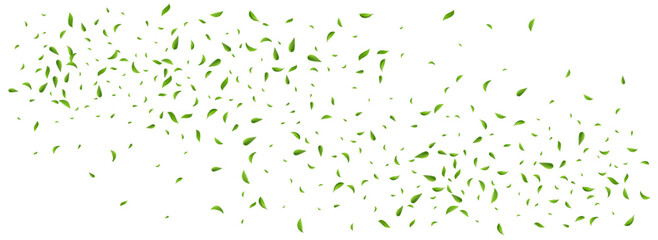 Olive Greens Wind Vector Panoramic White