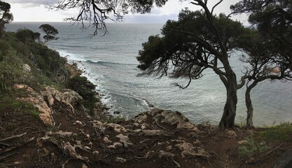 Top view at Shelley Cove near Bunker Bay, Eagle Bay and Dunsborough city in Western Australia with a tree in cloudy weather