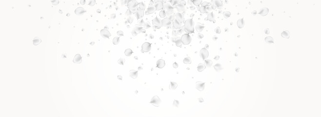 Pastel Flower Vector Light Panoramic Background. 'i