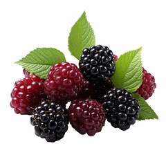 A bunch of mulberries on a transparent background.