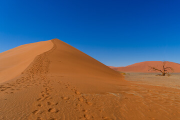 Fototapeta na wymiar Footsteps leading the way up to Dune 45 at Sossusvlei Nationalpark