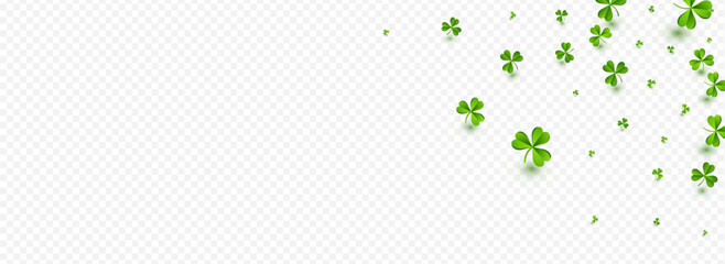 Green Clover Falling Vector Transparent Panoramic