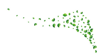 Green Leaf Ecology Vector White Background. Tree