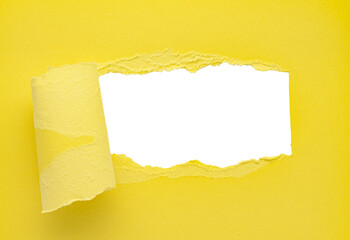 Yellow torn curled paper or rolled cardboard message backdrop with rough edges and blank copy space for text, png template on transparent background 
