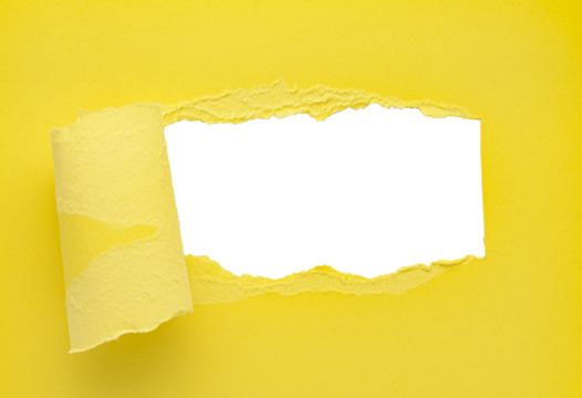 Yellow torn curled paper or rolled cardboard message backdrop with rough edges and blank copy space for text, png template on transparent background 