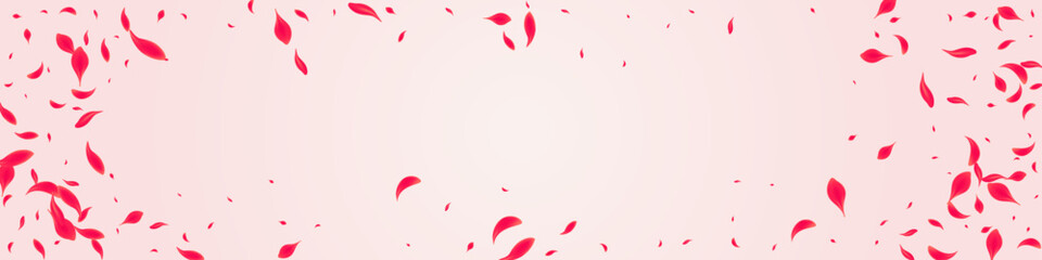 Red Rose Vector Pink Panoramic Background.