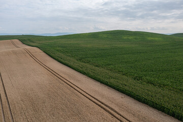 Village country farming shapes in field aerial drone photo