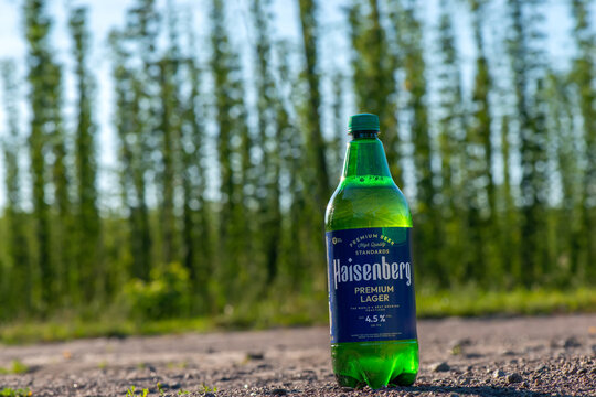 KYIV, UKRAINE - August 03, 2023: Heisenberg - new craft beer in Ukraine against the backdrop of a hop field New Brew production