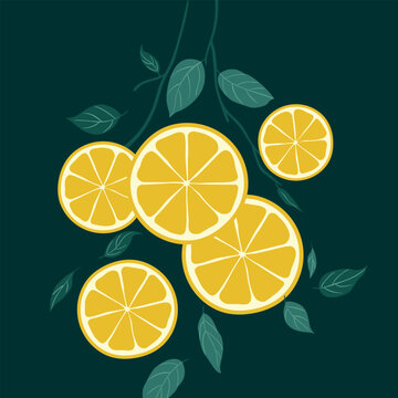 delicious lemons, vector lemons on a tree, lemon tree, falling leaves with split lemons, lemon slices