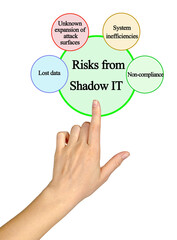 Fototapeta premium Four Risks from Shadow IT