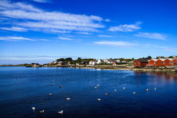 Fototapeta premium view of bay