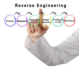 Six Components of Reverse Engineering.
