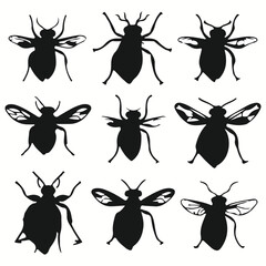 Wasp silhouettes and icons. black flat color simple elegant Wasp animal vector and illustration.