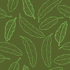 The Leaves of the Australian Flowering Tree, Abrophyllum ornans or the Native Hydrangea, in Yellow Green Line Art Creating a Seamless Repeat Pattern Design